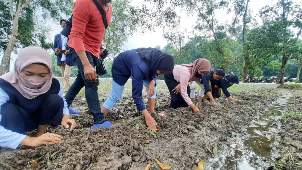 Tingkatkan Inovasi Pertanian di Desa Langkap, Mahasiswa Psikologi UTM Lakukan Kegiatan Intervensi Penyuluhan dan Pelatihan Penanaman Pohon Talas Beneng