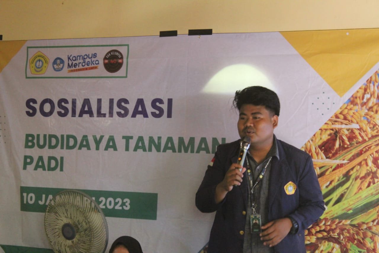 Berdayakan Petani, ABDIMAS UTM Kelompok 40 Beri Edukasi Budidaya Tanaman Padi Berkualitas di Dusun Asemtalai Sampang
