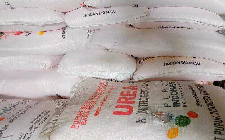 Plt Camat Palengaan Ingatkan Kades Terkait Penjualan Pupuk Bersubsidi Diatas HET