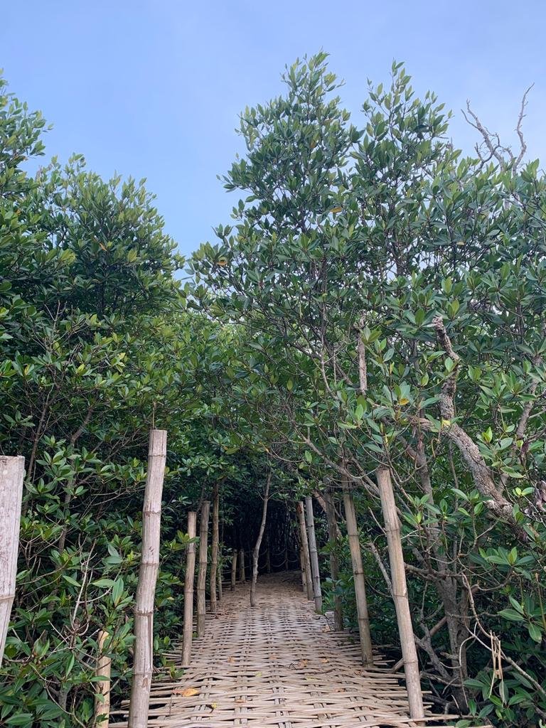 Menghidupkan Potensi Wisata Mangrove Kecamatan Sreseh Oleh Abdimas UTM