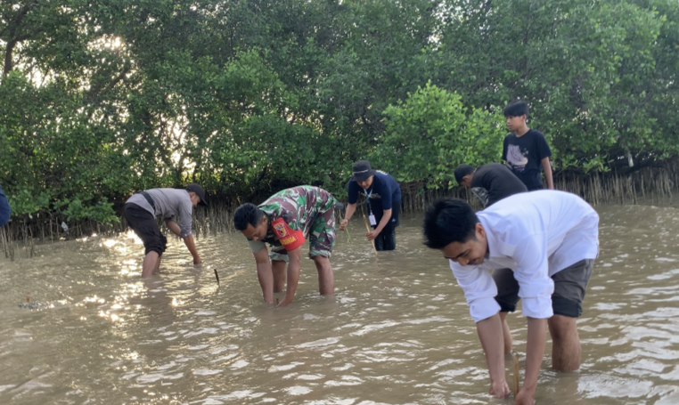 Tim Pengabdian Masyarakat UTM Kelompok 60 Optimalkan Pemanfaatan Mangrove di Desa Palasa 3 Tim Pengabdian Masyarakat UTM Kelompok 60 Optimalkan Pemanfaatan Mangrove di Desa Palasa