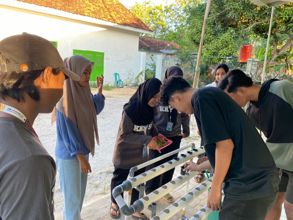 Pelatihan Pembelajaran Hidroponik di Desa Gapurana Kecamatan Talango, Kabupaten Sumenep 2 Pelatihan Pembelajaran Hidroponik di Desa Gapurana Kecamatan Talango, Kabupaten Sumenep