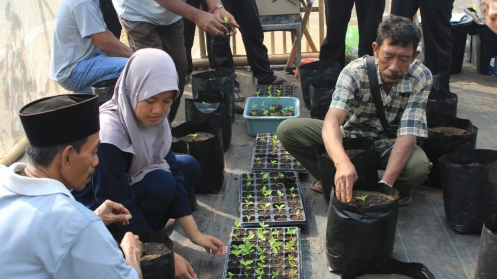 Edukasi Good Agriculture Practice (GAP) Budidaya Cabai Smart Farming Di Desa Dakiring Bangkalan Madura 2 Edukasi Good Agriculture Practice (GAP) Budidaya Cabai Smart Farming Di Desa Dakiring Bangkalan Madura