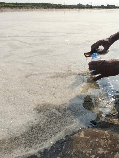 Inovatif, Mahasiswa Pertanian UTM Olah Limbah Garam Jadi Produk Kecantikan Body Scrub 2 Inovatif, Mahasiswa Pertanian UTM Olah Limbah Garam Jadi Produk Kecantikan Body Scrub