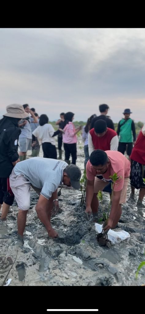 Sinergi Peduli Lingkungan: DKP Jatim, Mahasiswa UTM dan STAIS Bangkalan Berkolaborasi Tanam Mangrove di Desa Labuhan 2 Sinergi Peduli Lingkungan: DKP Jatim, Mahasiswa UTM dan STAIS Bangkalan Berkolaborasi Tanam Mangrove di Desa Labuhan