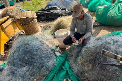 Penulis: Naily Maufiroh (Mahasiswi Pengelolaan sumberdaya Pesisir dan Lautan di IPB University)
