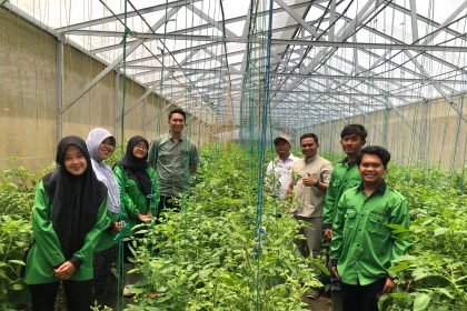 Mahasiswa Agroekoteknologi UTM Dorong Kemajuan Pertanian dengan Inovasi Benih Hibrida di PT. Benih Citra Asia Jember