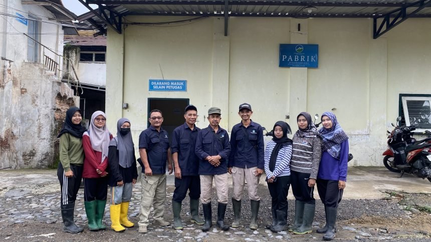 Tingkatkan Kompetensi, Mahasiswa MBKM Olah Limbah Daun Cengkeh di PT Tjandi Sewu Baru
