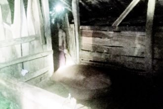 Banyak Sapi Sakit dan Mati Mendadak, Warga Desa Rajun Pasongsongan : Kami Mau Ngeluh ke Siapa