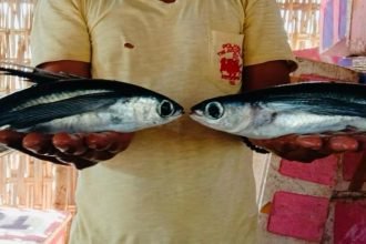 Mimpi Sejahtera Nelayan Pulau Sapudi Butuh Perhatian Pemerintah Daerah