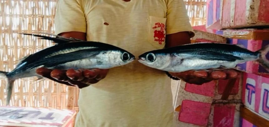 Mimpi Sejahtera Nelayan Pulau Sapudi Butuh Perhatian Pemerintah Daerah